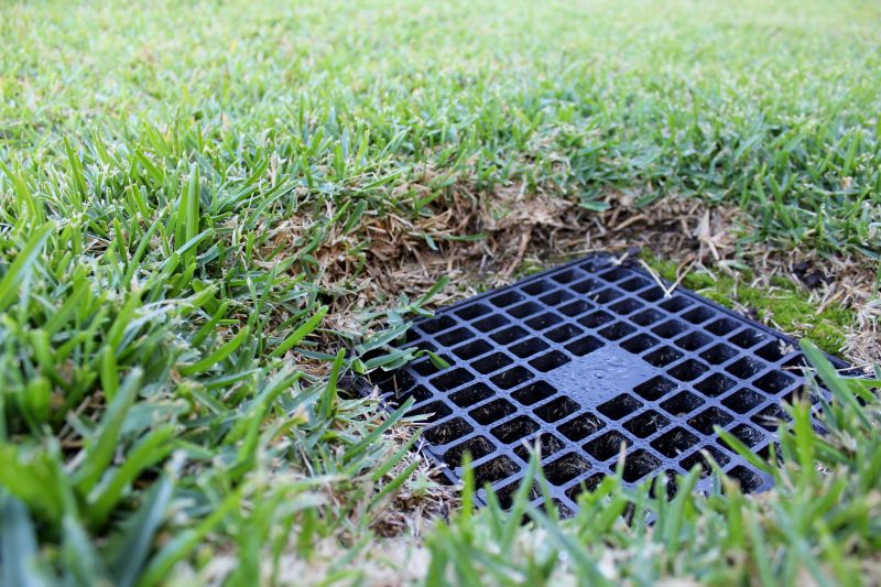 Lawn Drainage in Tuscaloosa, AL